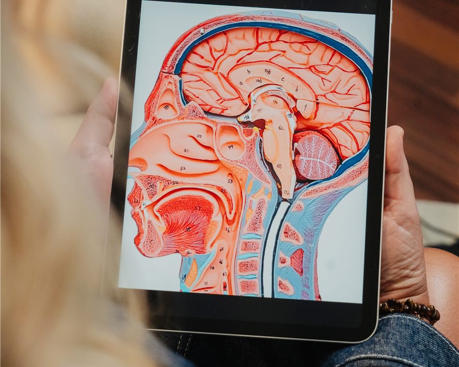 Material clínico usado em conteúdo educativo de fonoaudiologia